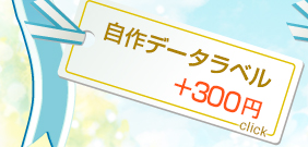 自作データラベル　＋300円