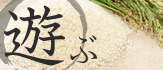 遊ぶ
